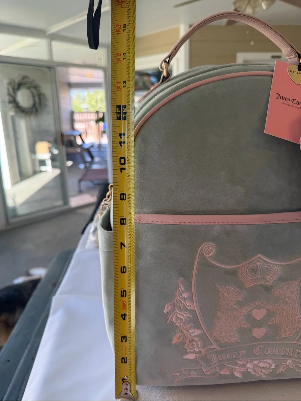 Juicy Couture Mint Green Velvet Backpack with Pink Trim & Pom Pouch